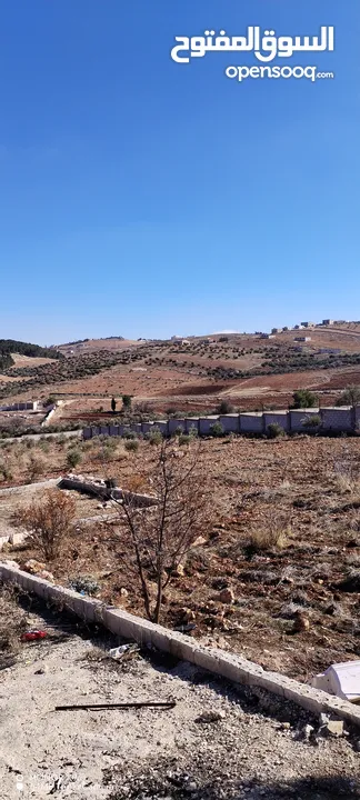 قفقفا 13 دنم منطقة مزارع وشاليهات وطبيعة خلابة مسيجة جدار حجر