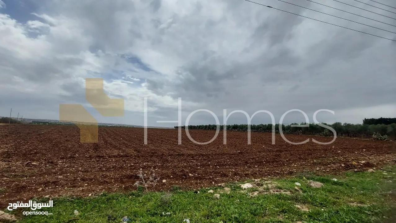 ارض تصلح لبناء مزرعة في عمان - ناعور بمساحة 3700 م