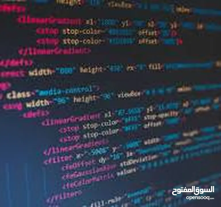تصميم وتطوير مواقع ويب الاحترافية Web Design And Development
