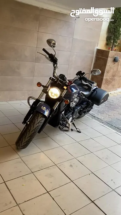 Indian scout 2021