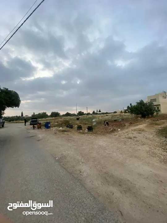ارض للبيع مادبا جرينة الشوابكه  https://goo.gl/maps/SYJZoNc7M82rLDEM7