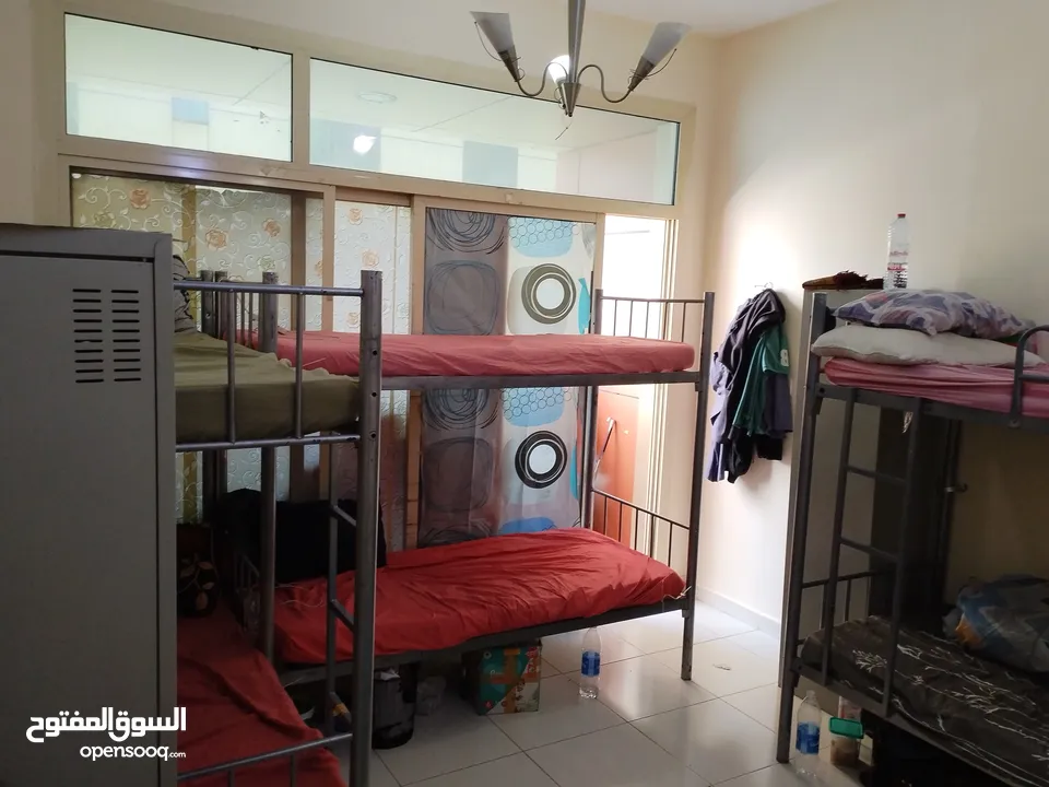 Executive Bachelor room  with attached washroom including All 4000 for 6 person Al rigga deira