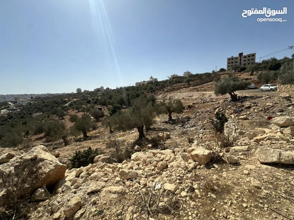 قطعة ارض نص دونم 500متر منطقة A للبيع جفنا-زعبوب