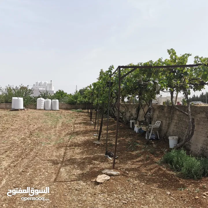 قطعة أرض للبيع