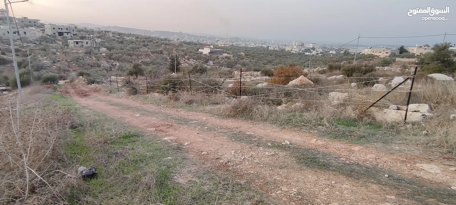 الظاهر لتسييج و تشيييك الاراضي الزراعية و التجارية
