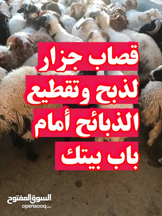 قصاب تحت الطلب/زبايح للبيع