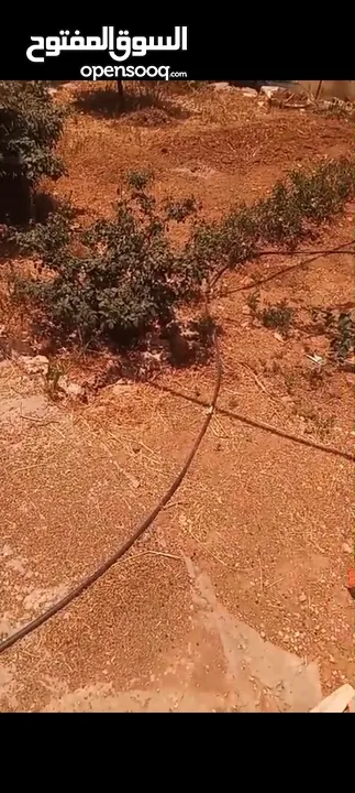 ارض للبيع في منطقه بلعين مساحه 850متر في البلد واصل كل الخدمات