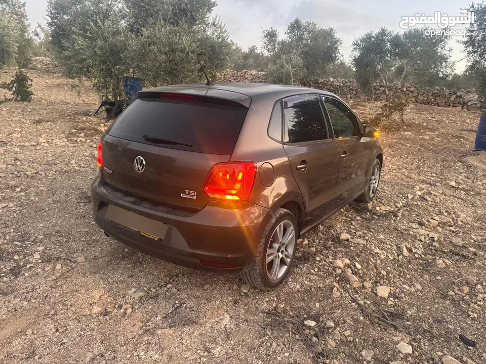 بولو جير عادي الحبة النادرة باللون و الجمال و الفحص