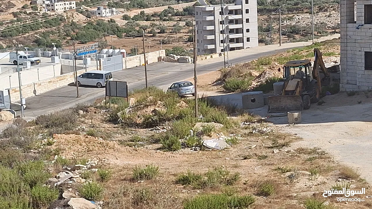 مطلوب مدربة دبكة وفلكلور شعبي في رام الله