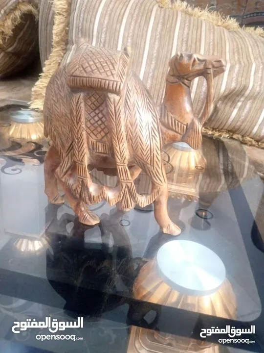 مناظر حيوانات للبيع بسعر مغري