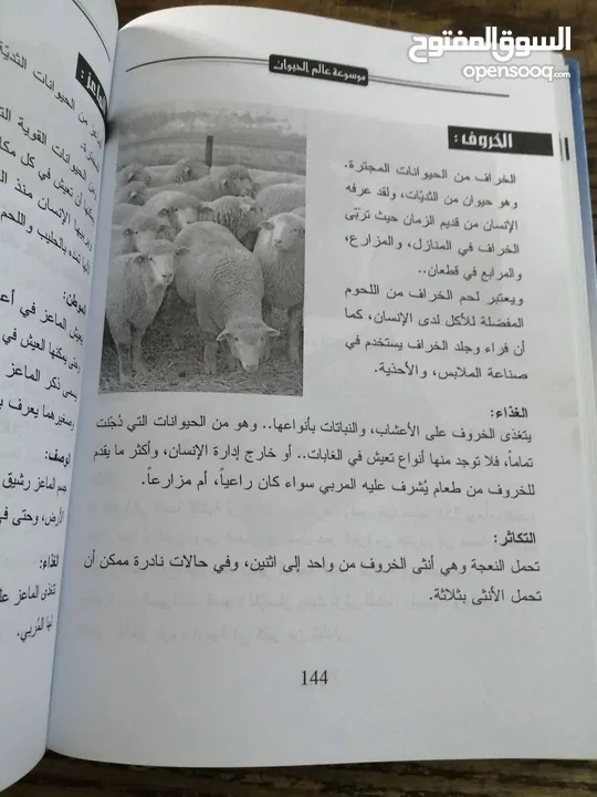 500 نسخة من كتاب موسوعة عالم الحيوان