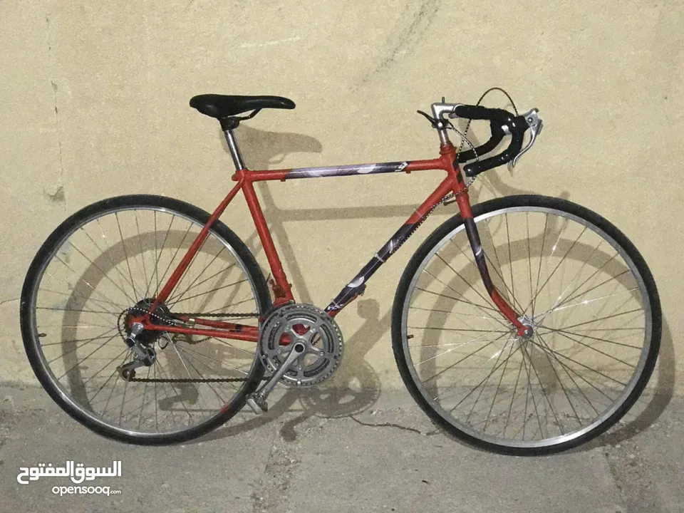 بسكليت رود نوع ross