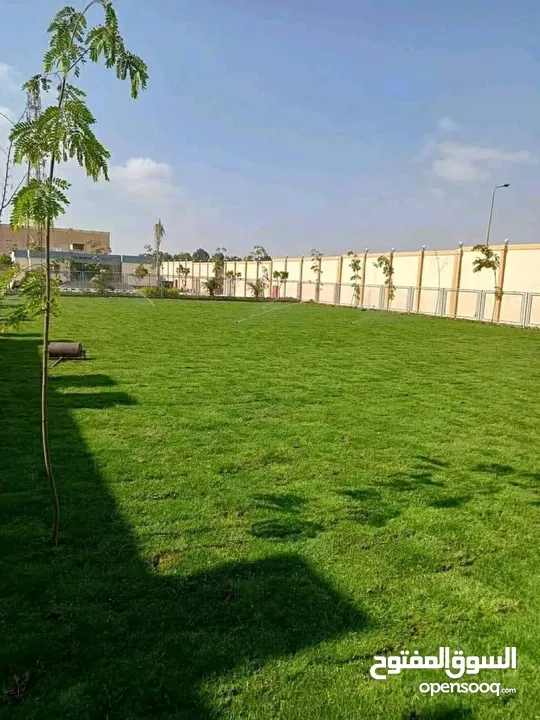 نجيل طبيعي بسبيلم بيور