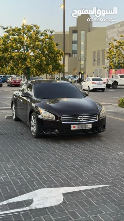 Maxima 2010