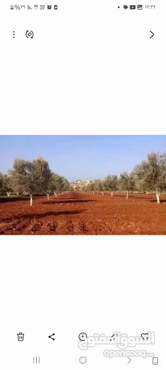 موسسة جينار لتشيك المزارع وبناء السناسل والاسوار واستصلاح الاراضي أدارة المزارع