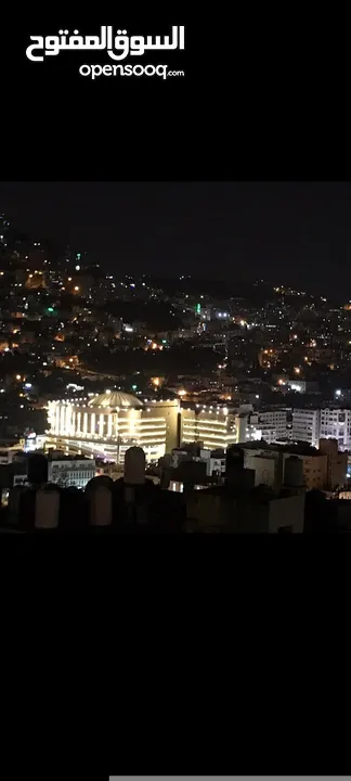 محل البيع القطة طلعت تونس