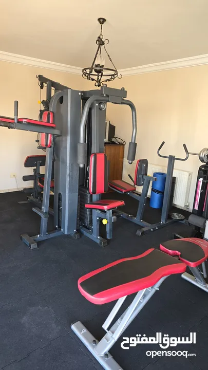 Fully equipped Home Gym