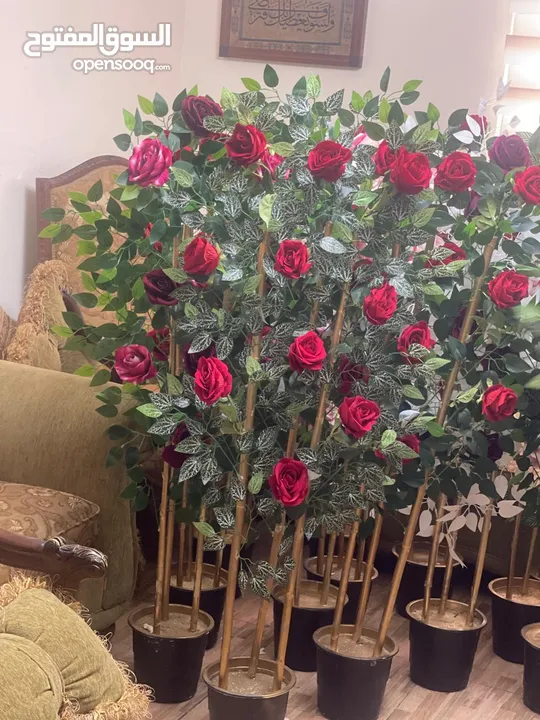أشجار زينه ورد صناعي   متوفر لون احمر فقط  شغل بيتي مرتب بزبط داخلي و خارجي للمنزل وللغرف و للمداخل