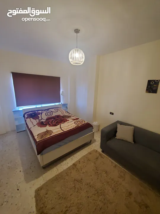 مطلوب شريك سكن لشقة مفروشة في عبدون