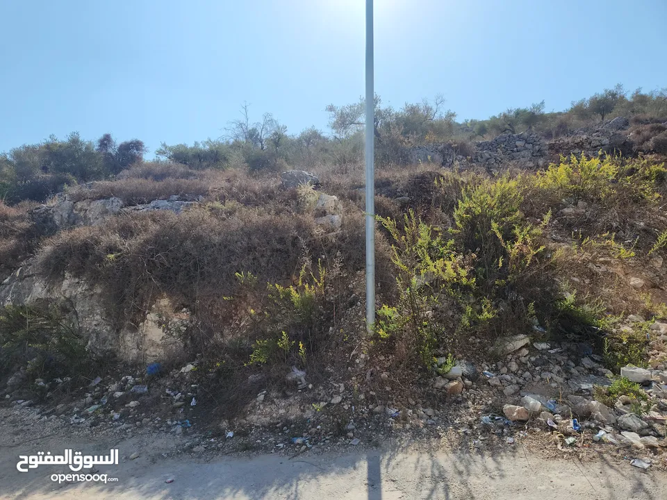 حصة في منطقة المشتل