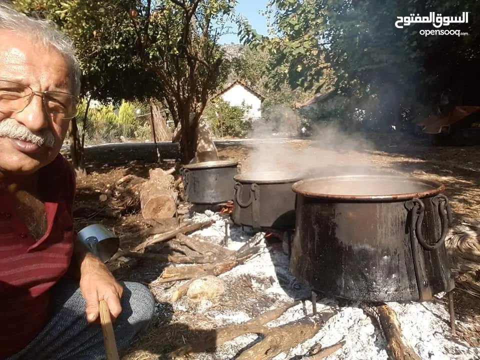 دبس رمان بلدي إنتاج عجلون للبيع