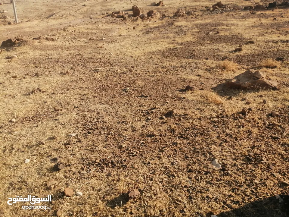 نمرتين ظهرة الرمل بسعر مغري جدا اطلالة غربية كاملة تصلح ل شالية فخم