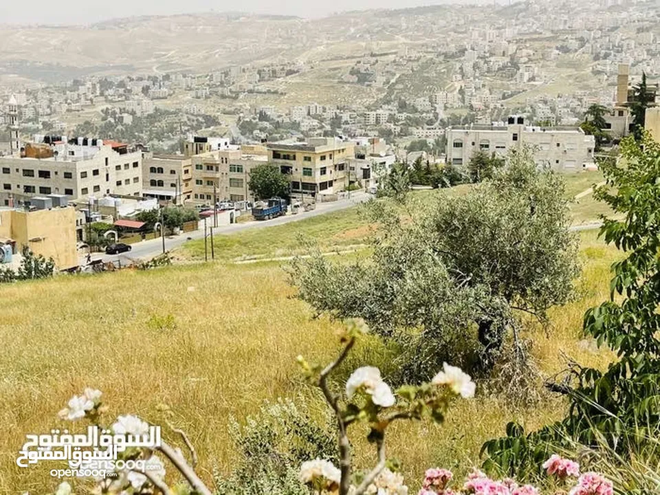 قطعة ارض للبيع في صويلح الكمالية