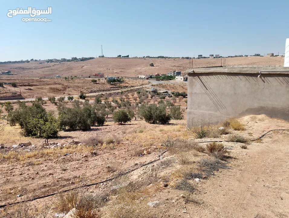 لقطة ؛ أرض زراعية مع غرفة على حدود الطفيلة والكرك ، تصلح للاستثمار كمزرعة سياحية أو منتجع سياحي