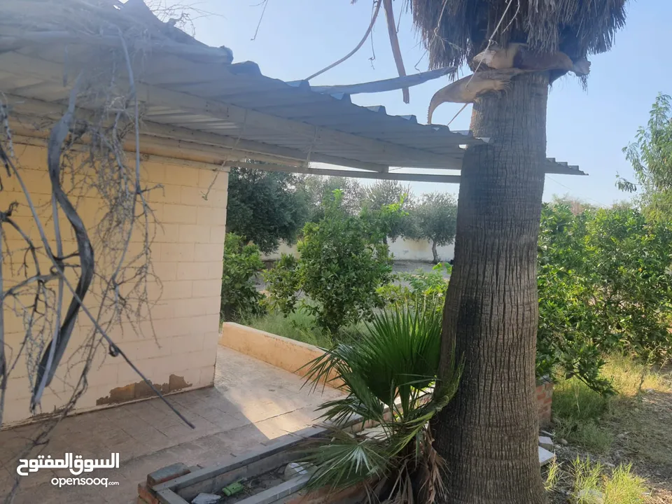 بيت ريفي مع ارض في منطقة هادئة وخلابة قريبة من الخدمات يصلح للاسثمار