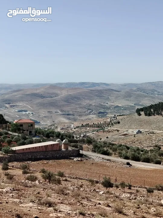 ارض للبيع جرش عنيبه قطعه مميزه جدا