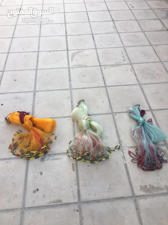 شبكة وسنارة