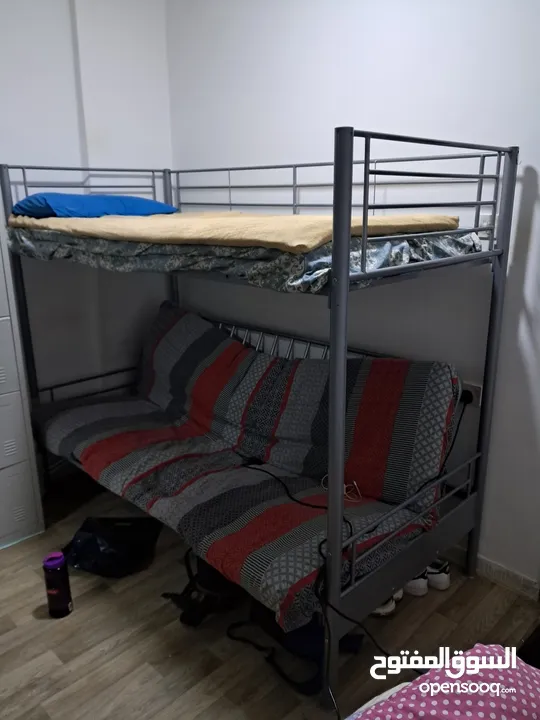 Bunk Bed Safat home