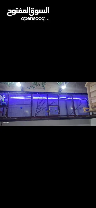 مطير عصافير او حمام