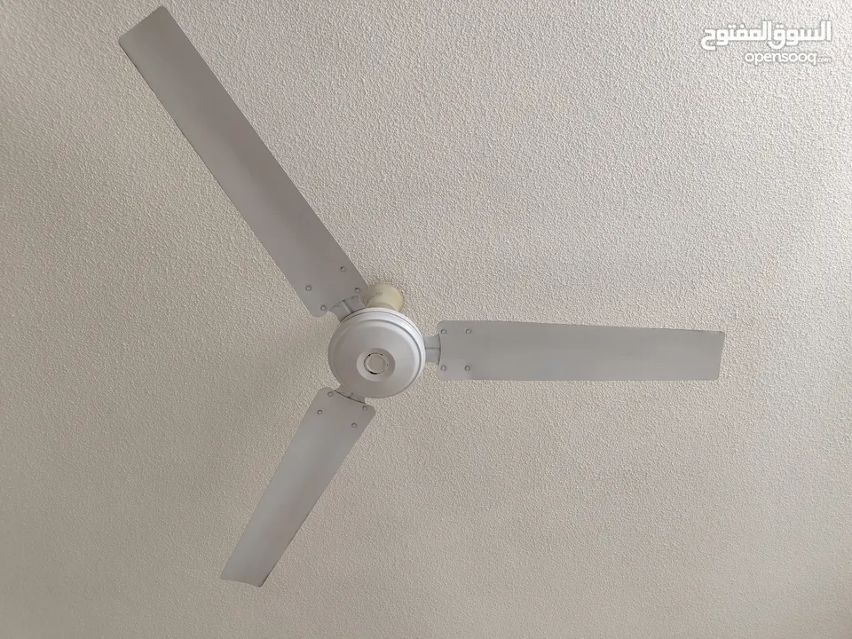 4 ceiling fans