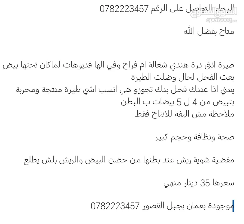 طيرة درة ام فراخ اقرأ الوصف، كوكتيل فيشر حب جنة كنار كاسكو جوز انتاج فراخ كنيور عصفور كويكر جرين شيك