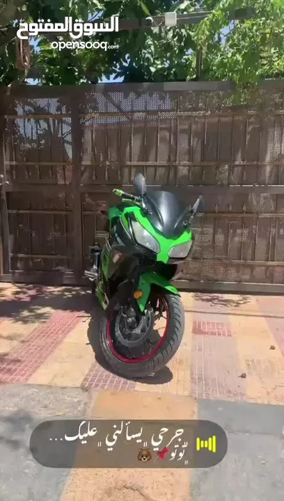 نينجا وكاله