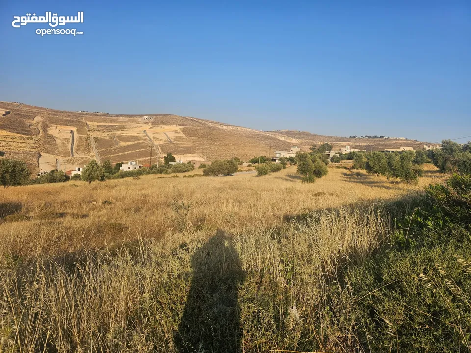 ارض في منطقة الكمشة 526 متر بتجنن