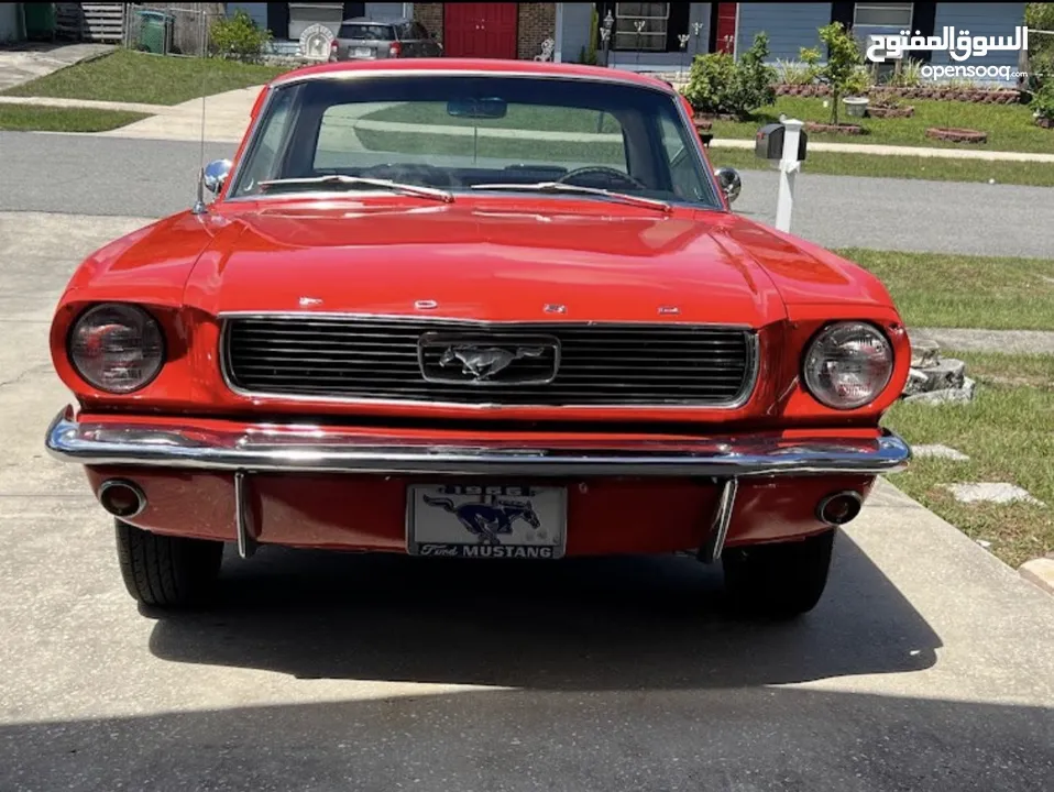 Mustang 1966 store car