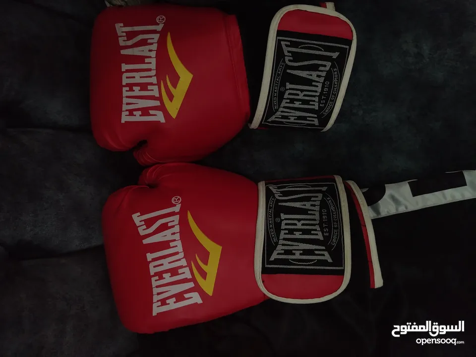 معدات Muay Thai Kickboxing الوصف مهم