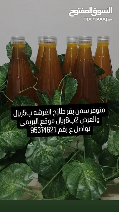 سمن بقر متوفر