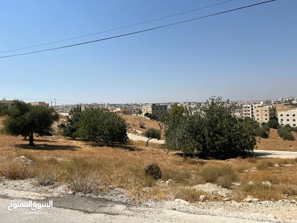 ارض في شفا بدران مساحتها 808 مقابل  مدارس البنفسج شارع سهيل بن قيس
