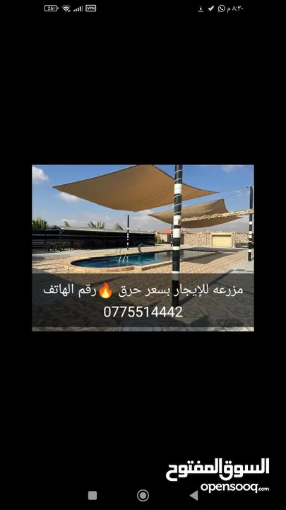 مزرعه للإيجار
