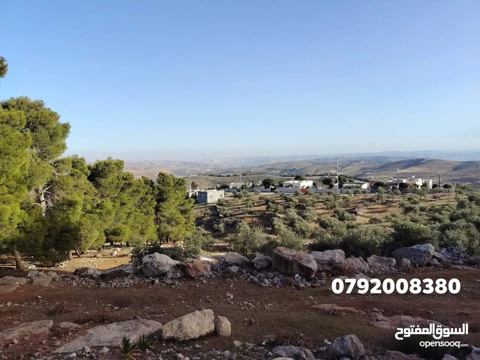 فرصه للشراء ارض مشجره جاهزه داخل التنظيم ومخدومه شارع معبد خدمات كامله ومطله