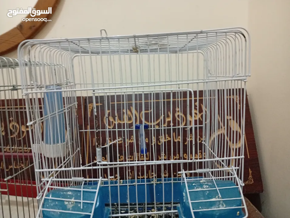 قفصين واحد جديد و تاني مستعمل