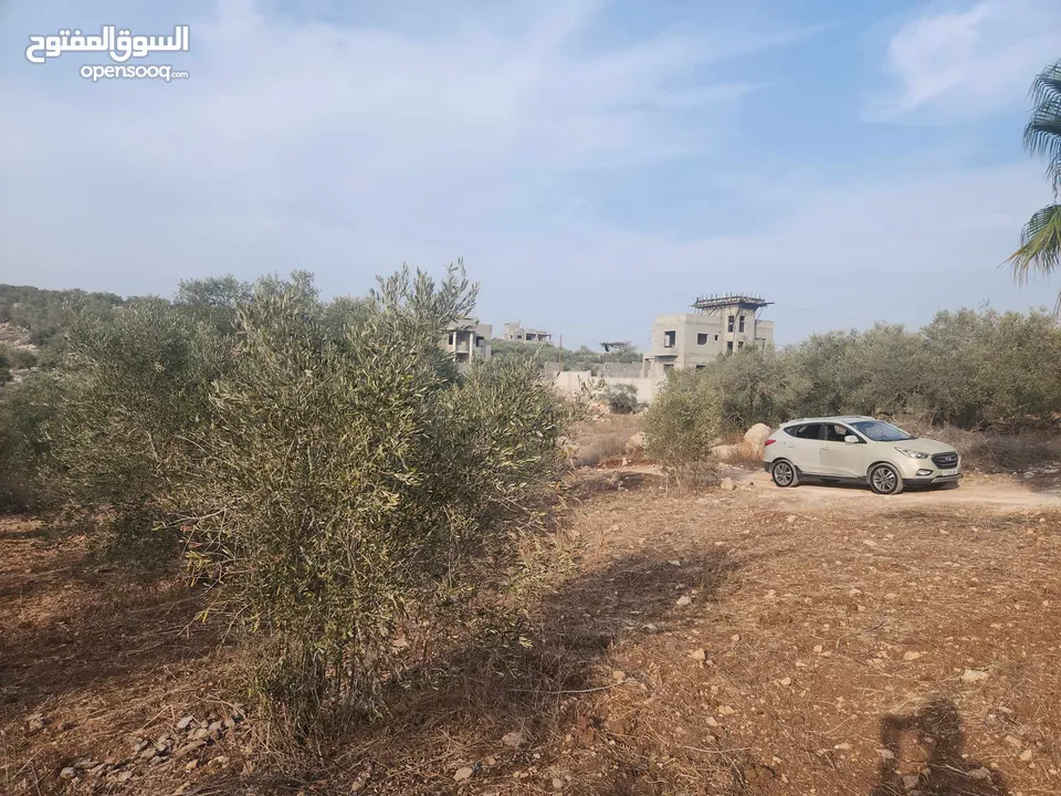 حصة 700 متر بالمسقوفة