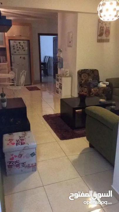 شقة مرتبة مفروشة للايجار