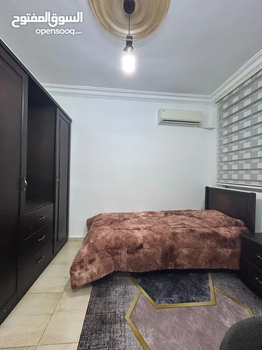 شقة مفروشة للايجار شارع الجامعة اربد