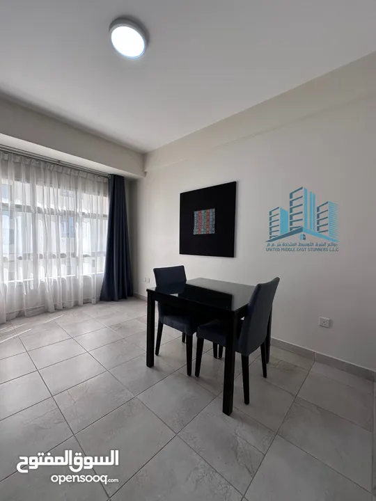 Beautiful Fully Furnished 1 BR Apartment