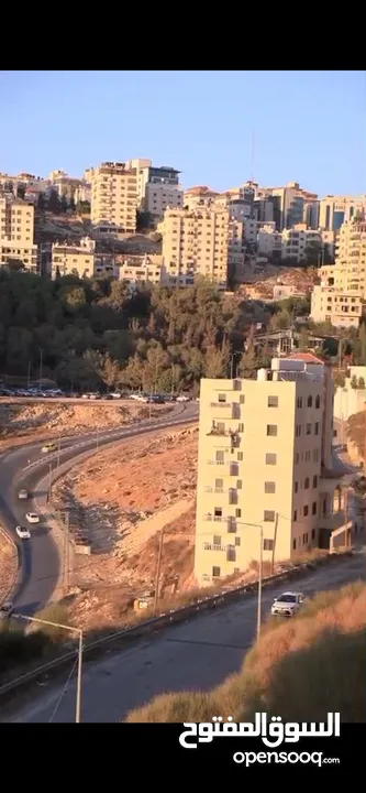 الوسيط ضياء
