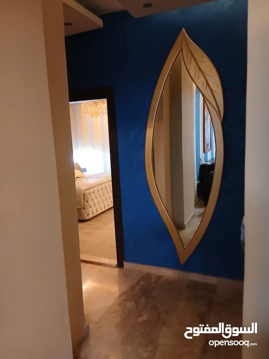 شقه طارق ارضي